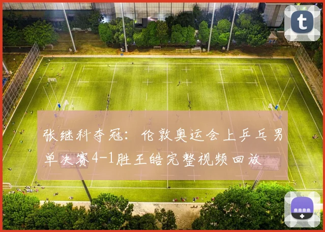 张继科夺冠：伦敦奥运会上乒乓男单决赛4-1胜王皓完整视频回放