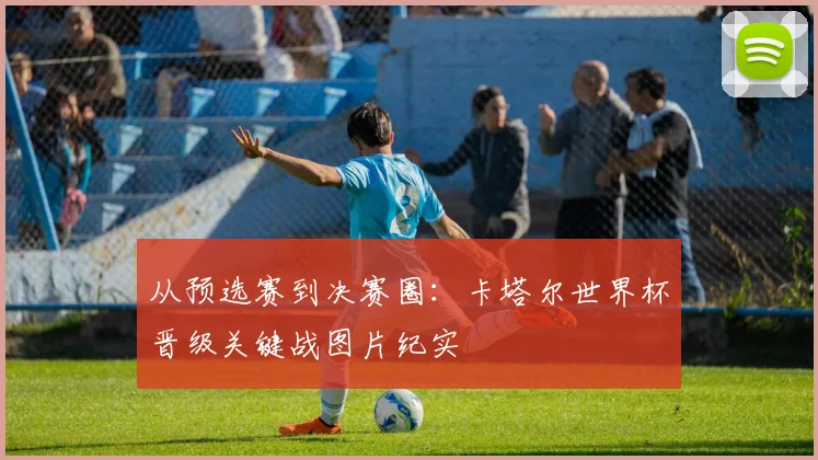 从预选赛到决赛圈：卡塔尔世界杯晋级关键战图片纪实