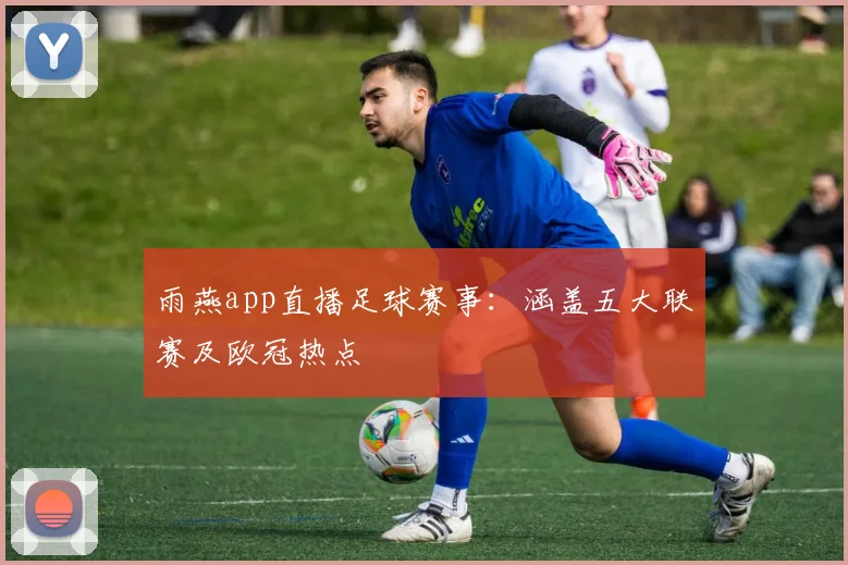 雨燕app直播足球赛事：涵盖五大联赛及欧冠热点
