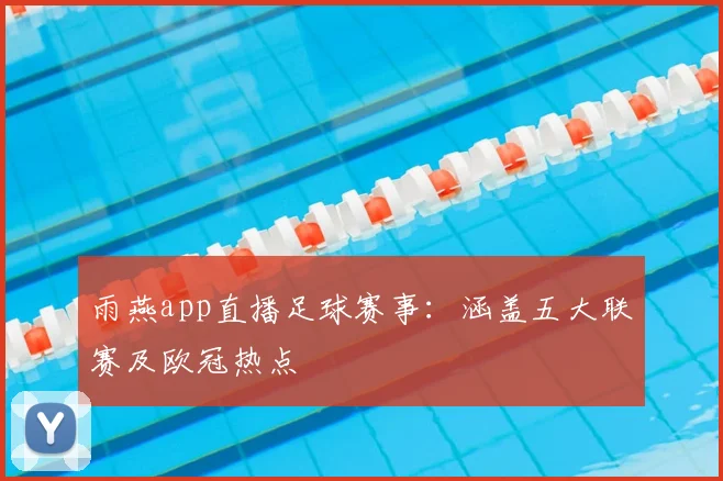 雨燕app直播足球赛事：涵盖五大联赛及欧冠热点