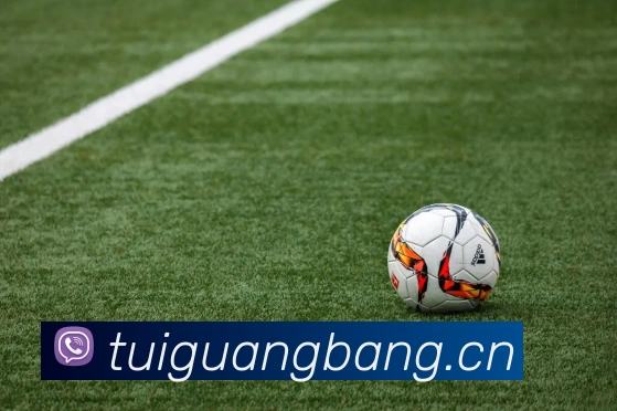 云顶集团官网首页入口APP 封面图